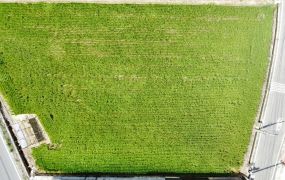 新豐前後路大面寬平坦美地