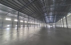 大園/挑高7.5米/倉庫廠房 &bull;   桃園廠房買賣/工業地/建地/徵收農地/廠房出租