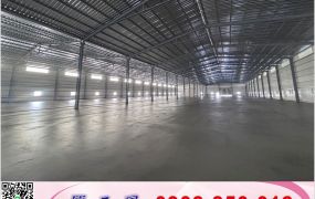 全新挑高鋼構腹地廠房/工業地廠房買賣租賃