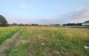 正10米路旁｜方正都計農