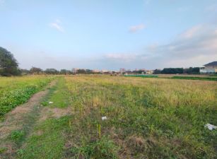 正10米路旁｜方正都計農