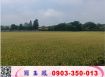 龍潭大坪數平坦農地/工業地廠房買賣租賃