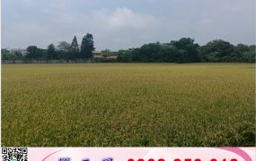 龍潭大坪數平坦農地/工業地廠房買賣租賃