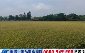 龍潭大坪數平坦農地/工業地廠房買賣租賃