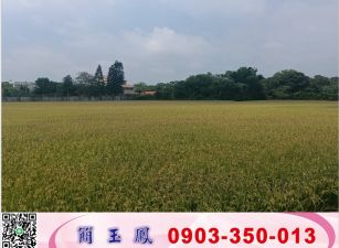 龍潭大坪數平坦農地/工業地廠房買賣租賃