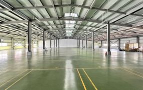 頂湖漂亮挑高方正廠房