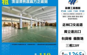 頂湖漂亮挑高方正廠房156