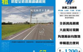 新屋全新挑高鋼構廠房156