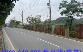 專-大樹百米大面寬農地