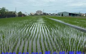 橋頭三仙段農地~投資自用