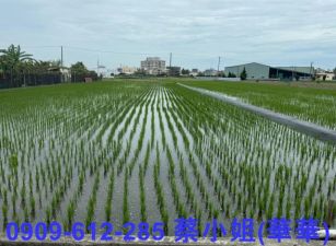 橋頭三仙段農地~投資自用