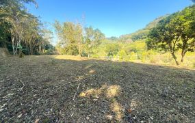 太平6米路邊大平台農地