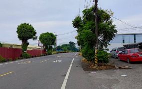 土地珠寶專才【大寮農地出售｜12米路三角窗870坪】企業自用首選｜近大發工業區・88快速道路