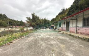 鹿谷鳯凰高海拔建地農贈厝