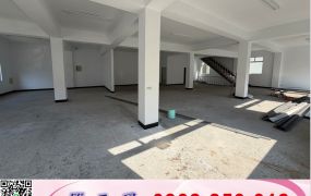 桃園三角窗獨棟透天店面/工業地廠房買賣租賃