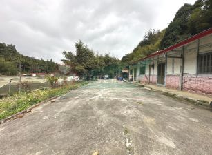 鹿谷鳯凰高海拔建地農贈厝