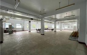 八德近交流道面寬RC廠(可分租)