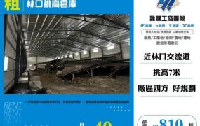 林口挑高倉庫124