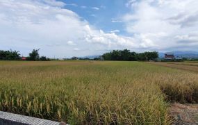 永慶許書豪★三星771坪好規劃美農地