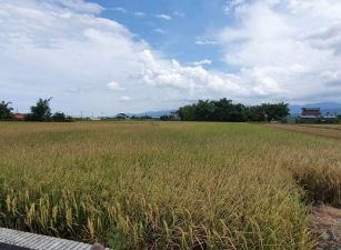 永慶許書豪★三星771坪好規劃美農地