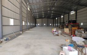 琪琪🐝推~近圳頭61大園新建挑高倉庫廠