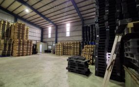 龜山大坑倉庫出租