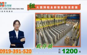 🍊近桃園機場先進AI智慧物流倉儲[預租]16000坪🍊