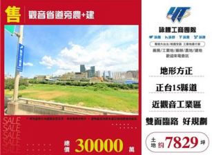 觀音省道旁農+建