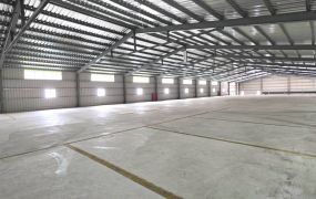 大園/台61/挑高/鋼構廠房&bull;   桃園廠房買賣/工業地/建地/徵收農地/廠房出租