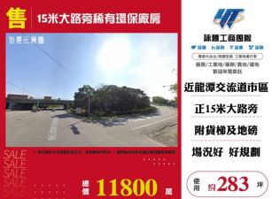 15米大路旁稀有環保廠房157
