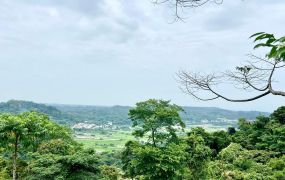 橫山視野景觀農地