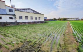 永慶許書豪★順安都內758足坪農地