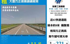 大園方正挑高鋼構廠房155