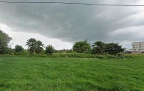 新屋便宜一般農