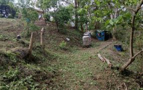 微笑太平景觀增值農地