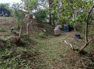 微笑太平景觀增值農地