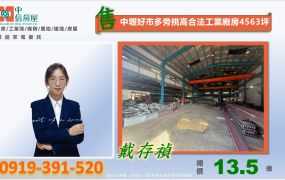 中壢好市多旁挑高合法工業廠房4563坪