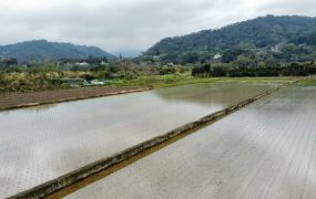 石光方正臨路大面寬資材田