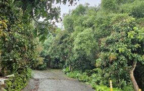 低於公告土地現值霧峰中坑北溝小段農保地景觀地81台中買屋賣房