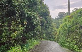 低於公告土地現值霧峰中坑北溝小段農保地景觀地82台中買屋賣房