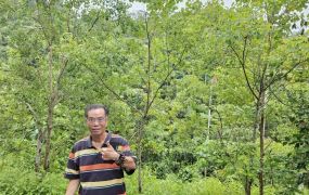 低於公告土地現值霧峰中坑北溝小段農保地景觀地83台中買屋賣房