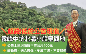 低於公告土地現值霧峰中坑北溝小段農保地景觀地84台中買屋賣房