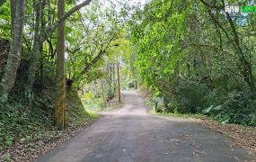 新竹縣橫山｜八十份｜多筆分管｜平坦小農地-G區｜137.98坪｜售價241萬