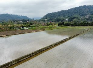 石光方正臨路大面寬資材田