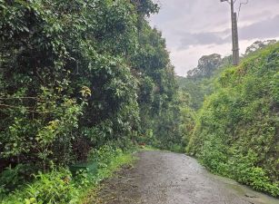 低於公告土地現值霧峰中坑北溝小段農保地景觀地82台中買屋賣房