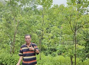 低於公告土地現值霧峰中坑北溝小段農保地景觀地83台中買屋賣房