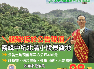 低於公告土地現值霧峰中坑北溝小段農保地景觀地84台中買屋賣房
