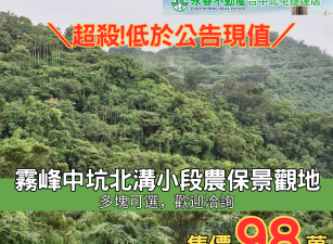 低於公告土地現值霧峰中坑北溝小段農保地景觀地81台中買屋賣房