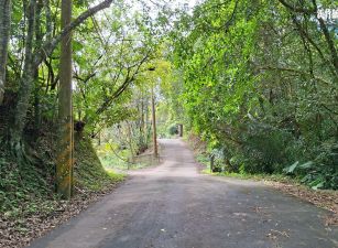 新竹縣橫山｜八十份｜多筆分管｜平坦小農地-G區｜137.98坪｜售價241萬