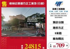 樹林近國道方正工業地(分割)